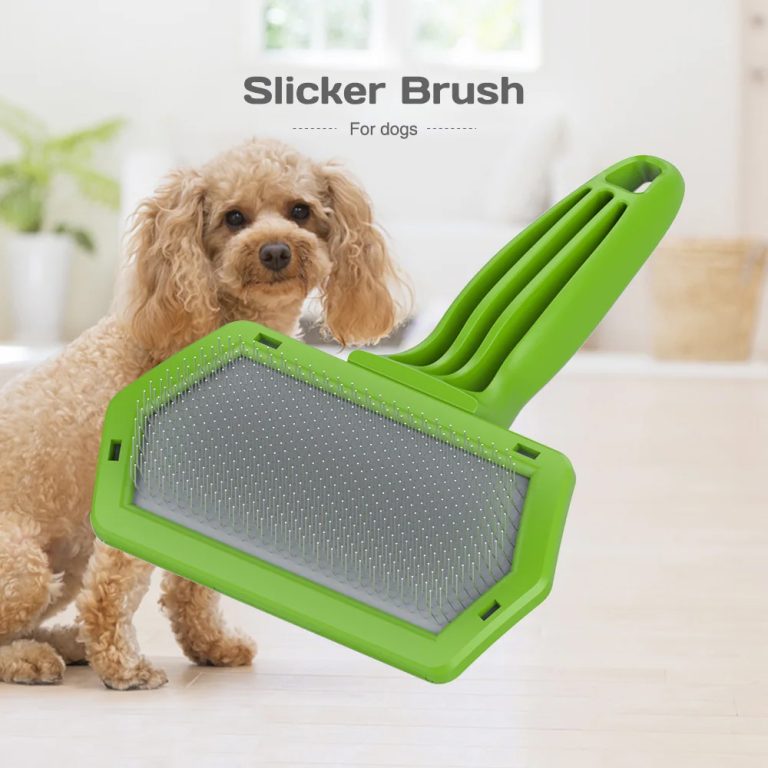 Pet Brush Best China Manufacturer